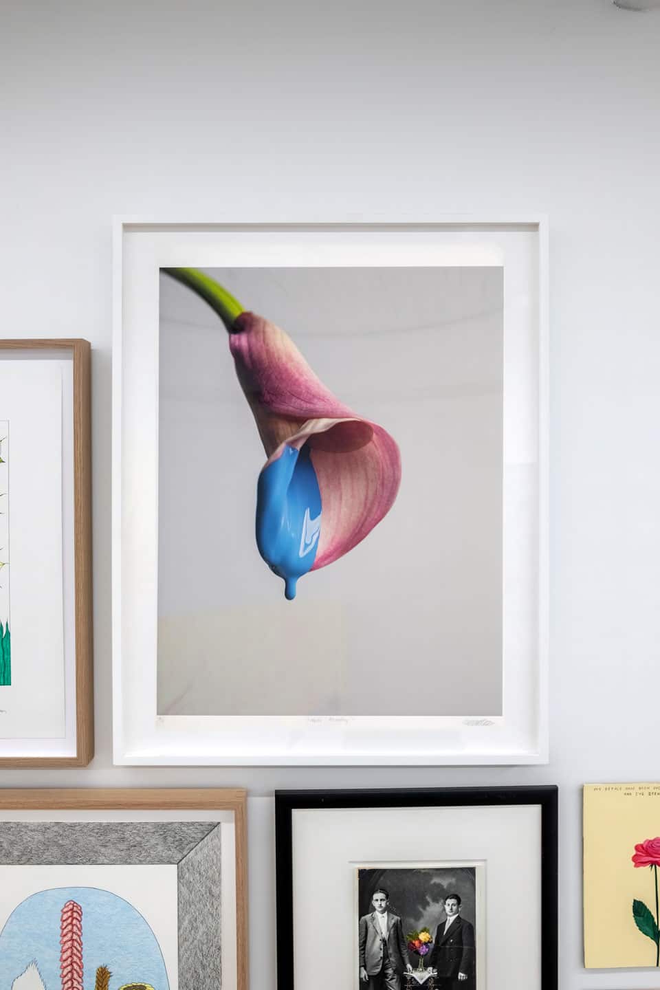 Nelson Hendricks, Flower Painting 1, 2016, 711×559mm / 28×22in inkjet on 9mm polypropylen